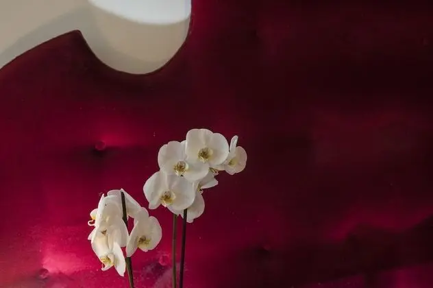 Deluxe Apart Daire, 3 Yatak Odası