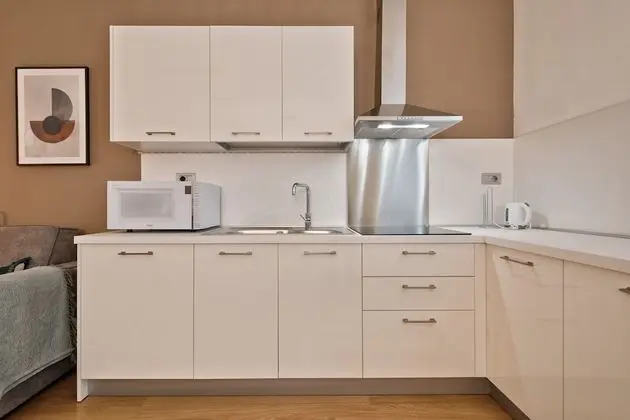 Apart Daire, 1 Yatak Odası