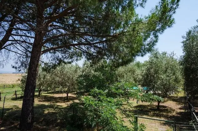 Superior Apart Daire, 2 Yatak Odası, Özel Banyo, Havuz Manzaralı (FUCSIA)