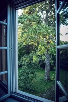 Design Süit, Bahçe Manzaralı