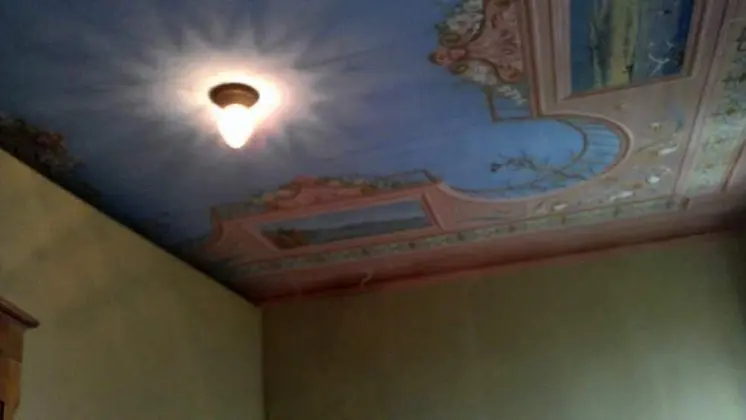 Superior Tek Büyük Yataklı Oda, Park Manzaralı