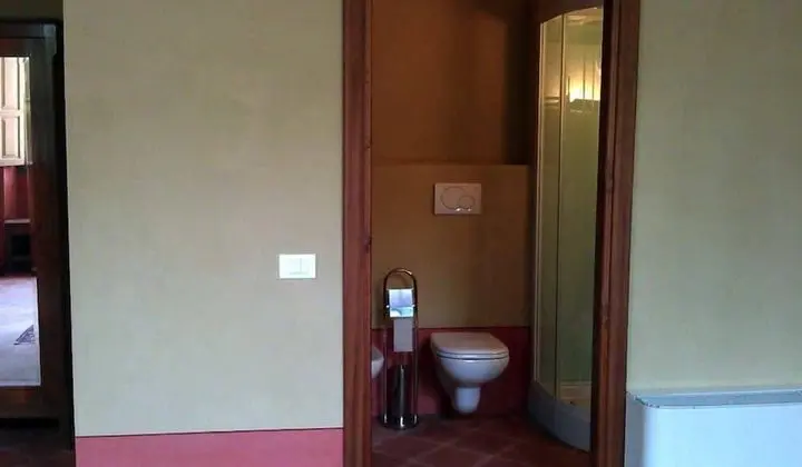 Superior Tek Büyük Yataklı Oda, Park Manzaralı