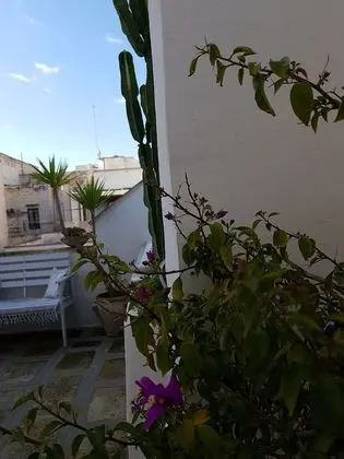 Design Oda, 1 Büyük (Queen) Boy Yatak, Şehir Manzaralı