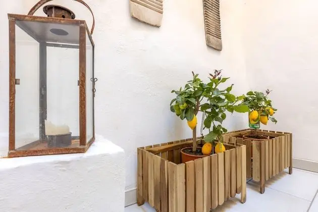 Exclusive Apart Daire