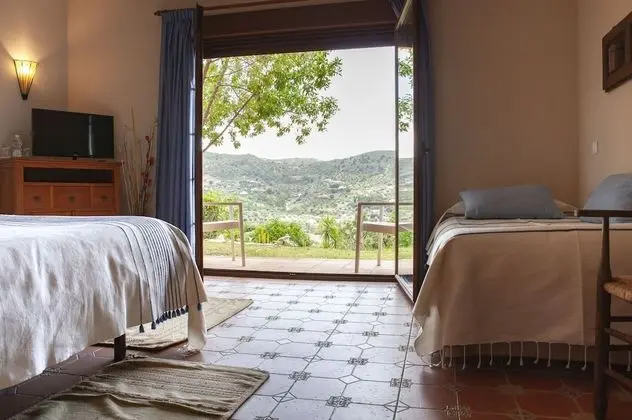 Superior Tek Büyük veya İki Ayrı Yataklı Oda, Teras