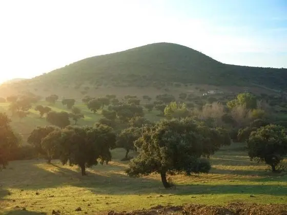 Üç Kişilik Oda, Sigara İçilmez, Dağ Manzaralı