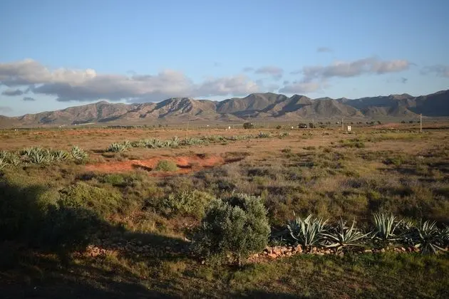 Ev, 4 Yatak Odası (Casa Grande)