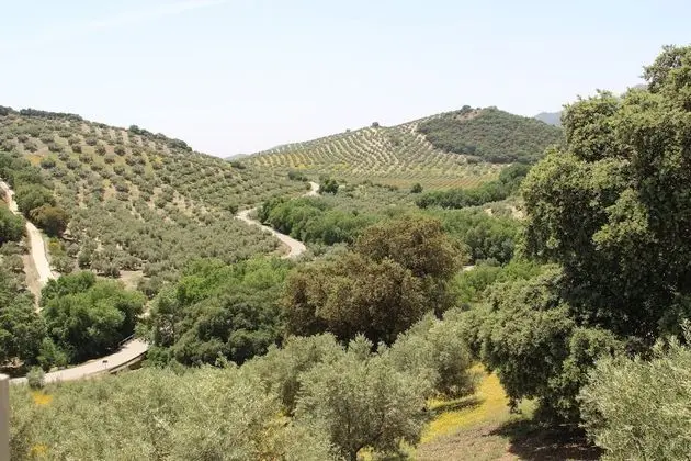 Classic Apart Daire, 2 Yatak Odası, Sigara İçilmez