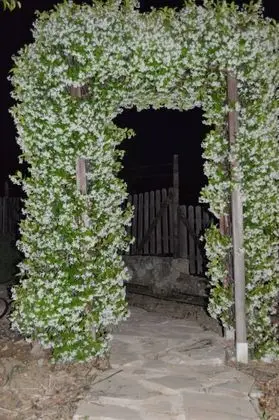 Ev, 2 Yatak Odası, Teras, Dağ Manzaralı (Cortijo Mirador)