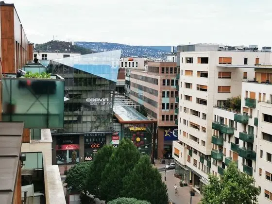Çatı Katı Süiti (Penthouse)