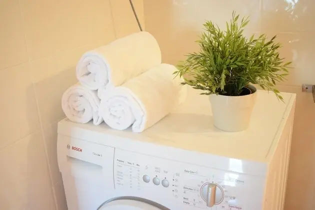 Çatı Katı Süiti (Penthouse)