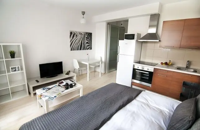 Studio Apartment