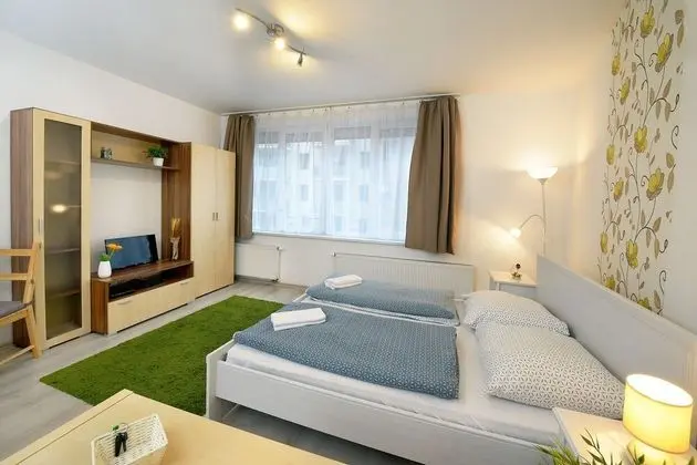 Standard Apart Daire, Teras, Şehir Manzaralı
