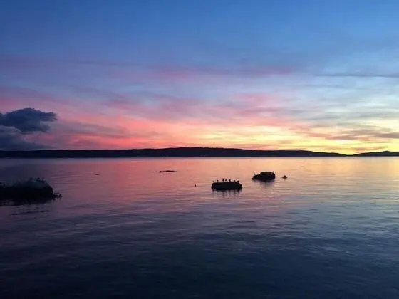 Ev (Cosa Nostra - H(2+2))