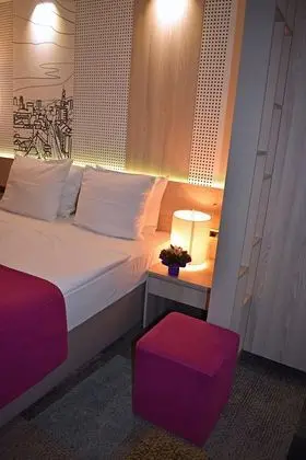 Standard Tek Büyük veya İki Ayrı Yataklı Oda, Şehir Manzaralı