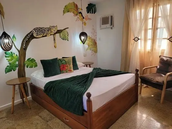 Superior Tek Büyük Yataklı Oda