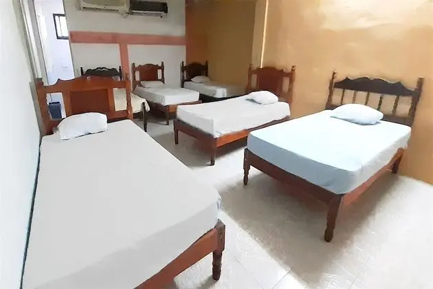 Family Oda (6 Single Beds)