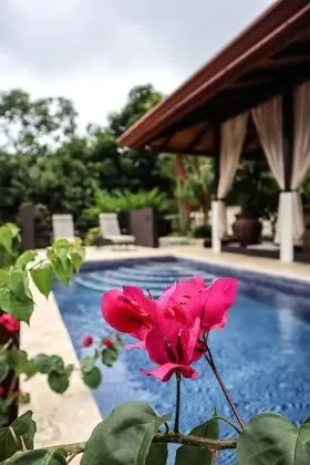 Superior Villa
