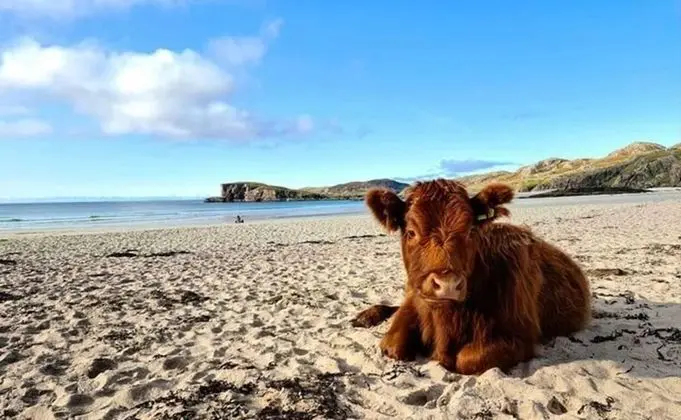 Ev, 2 Büyük (Queen) Boy Yatak