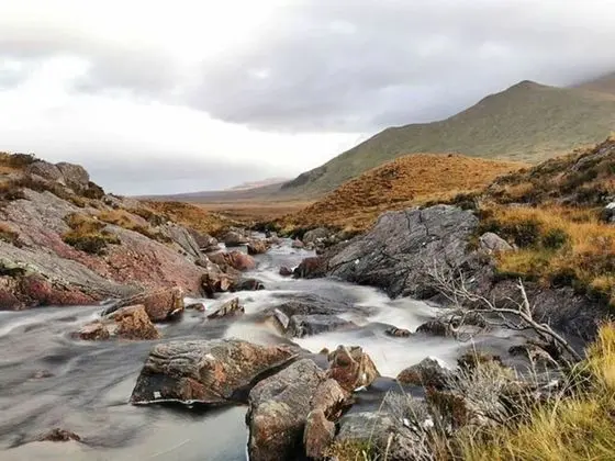 Ev, 2 Büyük (Queen) Boy Yatak