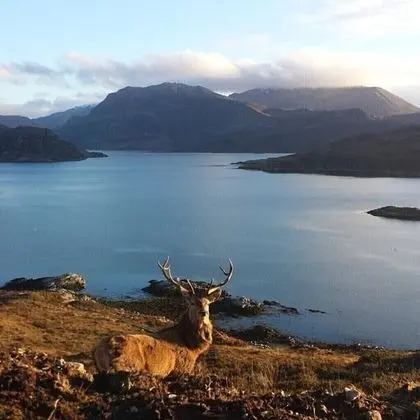 Ev, 2 Büyük (Queen) Boy Yatak