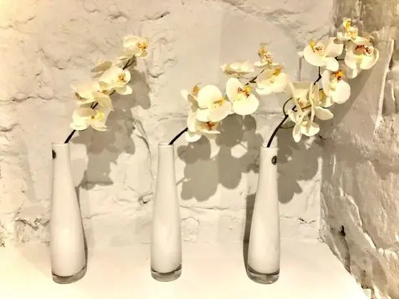 Kır Evi, 2 Büyük (Queen) Boy Yatak