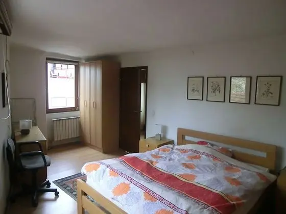Apart Daire, 1 Yatak Odası, Şömine