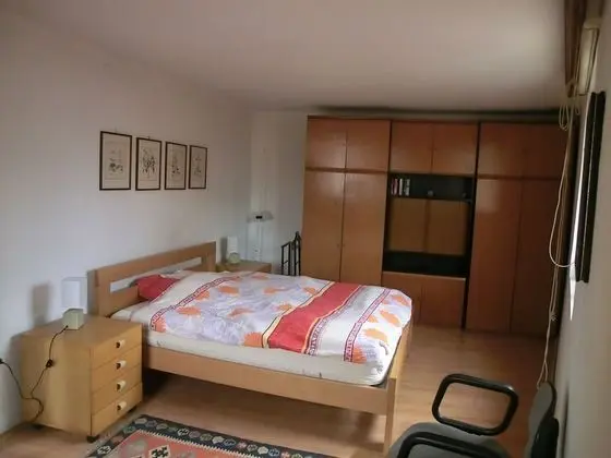 Apart Daire, 1 Yatak Odası, Şömine