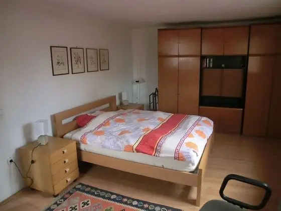 Apart Daire, 1 Yatak Odası, Şömine