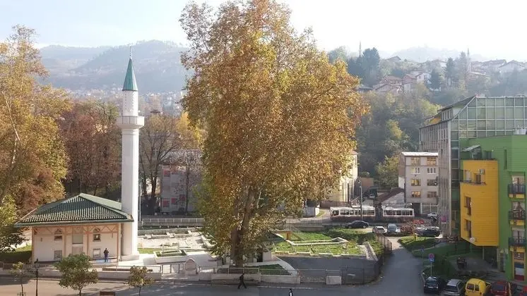 Apart Daire, 1 Yatak Odası, Şömine