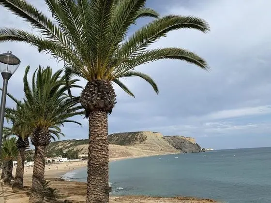Apart Daire, Birden Çok Yatak