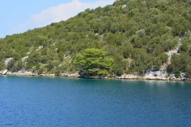 Apart Daire, 1 Büyük (Queen) Boy Yatak ve Çekyat