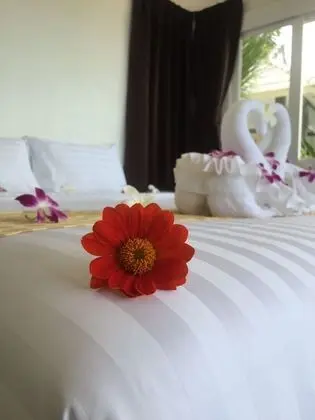 Deluxe Bungalov