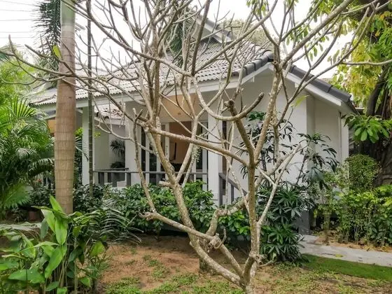 Deluxe Bungalov
