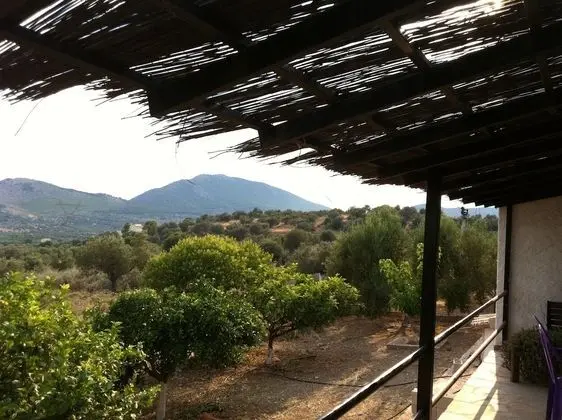 Kır Evi, Birden Çok Yatak