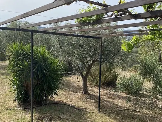 Kır Evi, Birden Çok Yatak