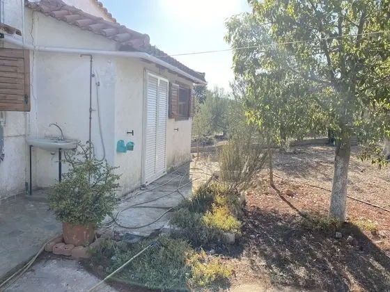 Kır Evi, Birden Çok Yatak