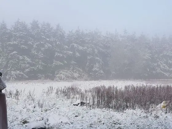 Kır Evi, Birden Çok Yatak