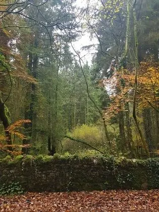 Kır Evi, Birden Çok Yatak