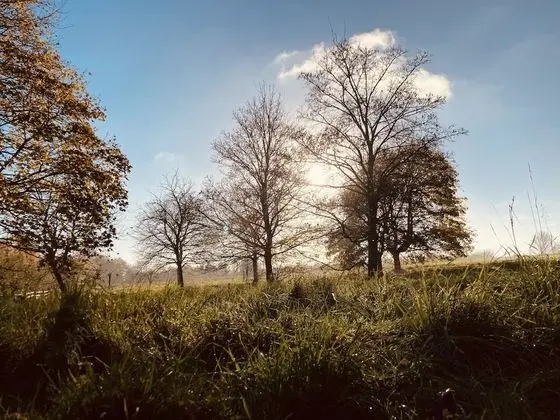 Kır Evi, Birden Çok Yatak