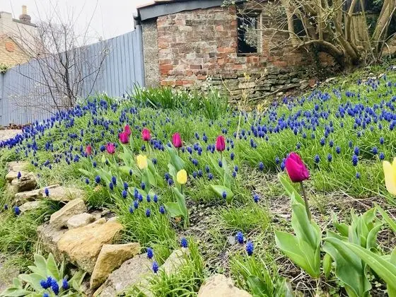 Kır Evi, Birden Çok Yatak