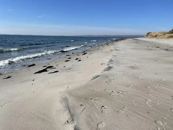 Ev, Birden Çok Yatak