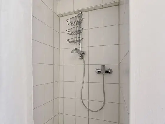 Ev