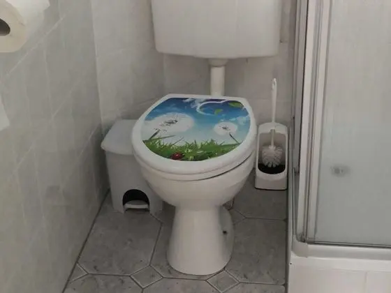Ev