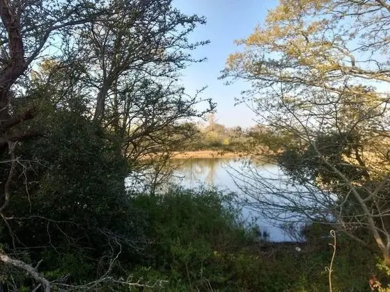 Kulübe, 1 Çift Kişilik Yatak
