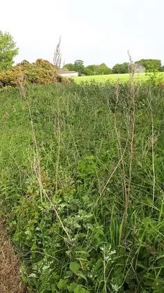 Dağ Evi, Birden Çok Yatak