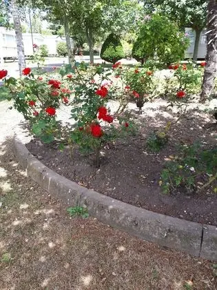 Dağ Evi, Birden Çok Yatak