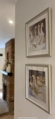 Family Kır Evi, Banyolu/Duşlu