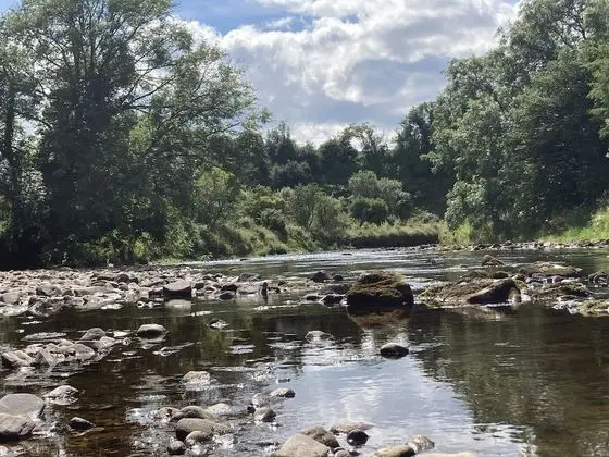 Kulübe, 1 Tek Kişilik Yatak