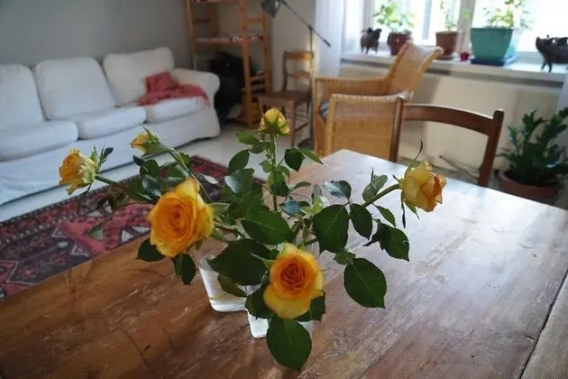 Apart Daire, 1 Büyük (Queen) Boy Yatak